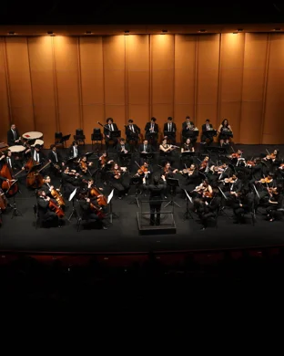 Outlander In Concert Minneapolis