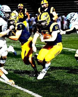 Augustana Vikings Saint Paul