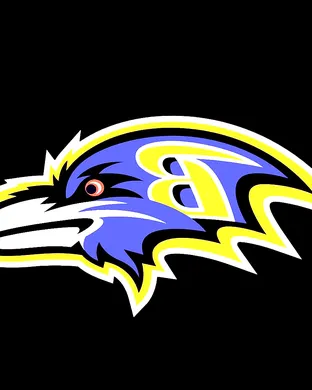 Baltimore Ravens Minneapolis