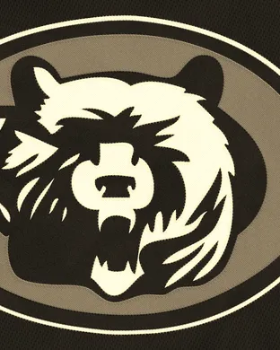 Premium Tailgate Party: Chicago Bears vs. Minnesota Vikings