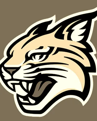 Davidson Wildcats Football Saint Paul