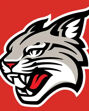 Davidson Wildcats Saint Paul