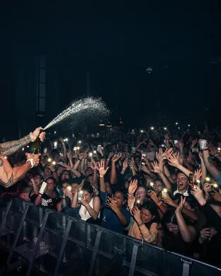 DJ Pauly D