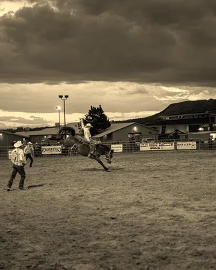 Douglas County Rodeo Castle Rock