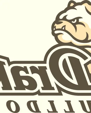 Drake Bulldogs Football Saint Paul