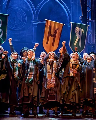 Harry Potter and The Cursed Child Minneapolis