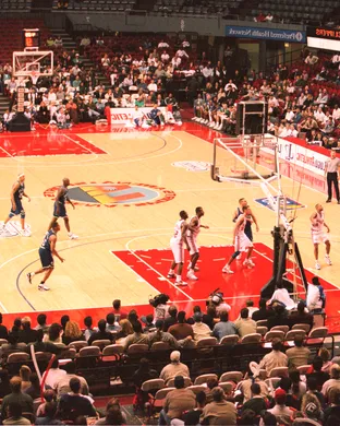 Los Angeles Clippers Saint Paul