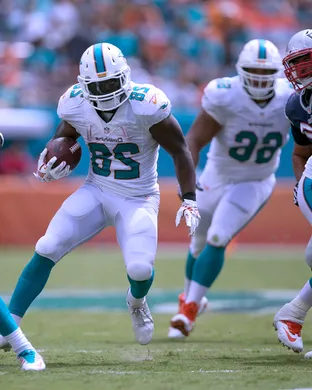 Miami Dolphins Minneapolis