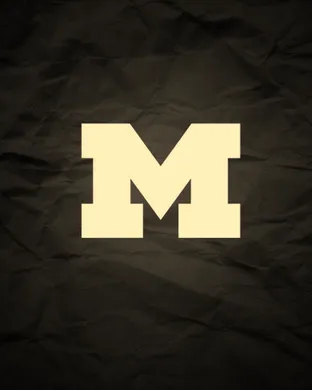 Michigan Wolverines Minneapolis