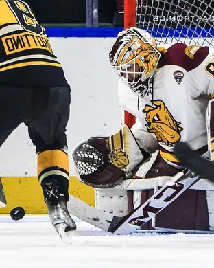 Minnesota Duluth Bulldogs Hockey Duluth