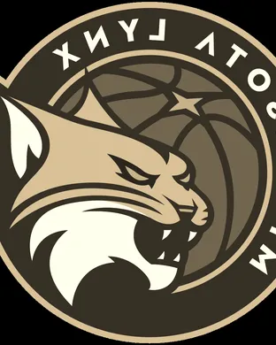 Minnesota Lynx Minneapolis