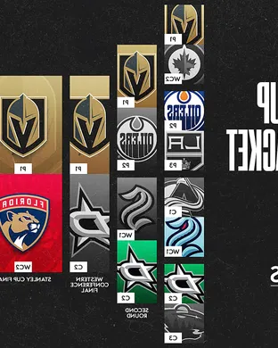 Nhl Stanley Cup Finals Saint Paul