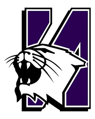 Northwestern Wildcats Football Minneapolis