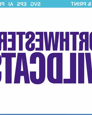 Northwestern Wildcats Minneapolis