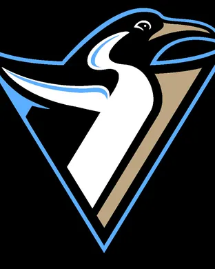 Pittsburgh Penguins Pittsburgh
