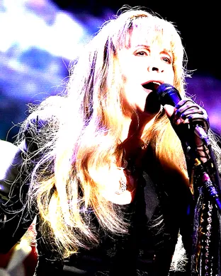 Stevie Nicks Saint Paul