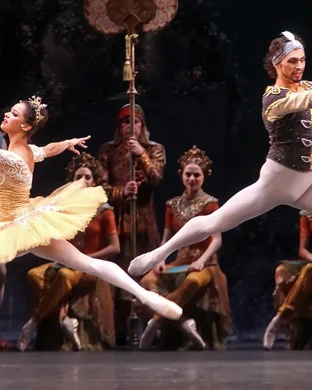World Ballet Company Minneapolis